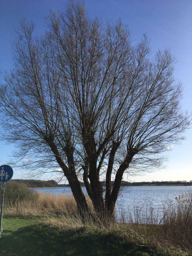 Ferienwohnung Am Noor Nahe Schleswig Und Dem Wikingerdorf Haithabu Fahrdorf  Extérieur photo