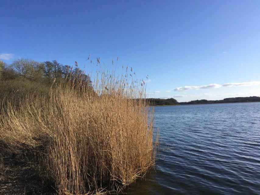Ferienwohnung Am Noor Nahe Schleswig Und Dem Wikingerdorf Haithabu Fahrdorf  Extérieur photo