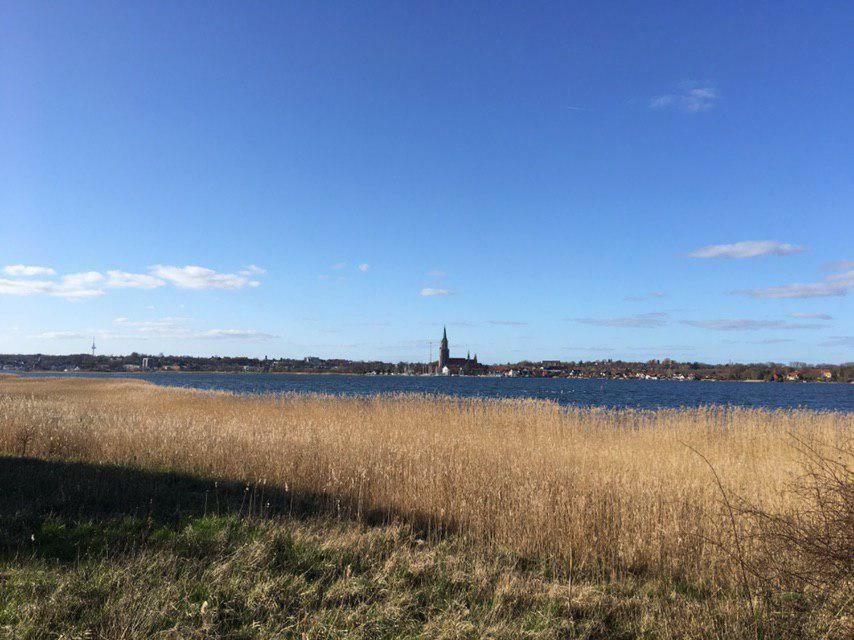 Ferienwohnung Am Noor Nahe Schleswig Und Dem Wikingerdorf Haithabu Fahrdorf  Extérieur photo